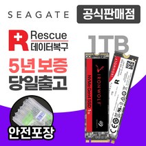 씨게이트 아이언울프525 NAS M.2 NVMe SSD, 1TB