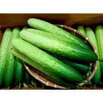 (가락시장까망콩) 싱싱한 백오이 5개