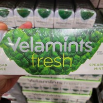 코스트코 VELAMINTS 스피어민트 민트 180G / 20G X 9, 1개