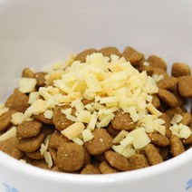 치즈 유산균 후리카케 댕댕이간식 애견간식