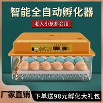 병아리부화기 인큐베이터 소형 가정용 지능형 항온 새 계란 치킨 완전 자동 루틴 부화, [21] 다크 그레이 120 완전 자동 단일 배터리