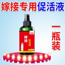 상처 나무 식물 도포제 가지 과수원 영양제 전정 수목, 1병