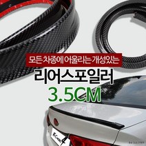 차량 뒷범퍼 부착 카본 패드 3.5cm 립스포일러 스포일러몰딩 꾸미기 자동차몰딩 DIY 승용차공용 썬바이저