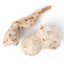 동의한재 자연산 국산 복신 백복신 3kg, 단품