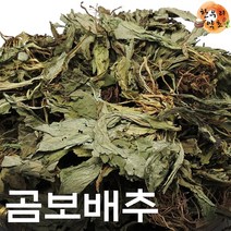 곰보배추 국내산 말린 건곰보배추 효능 먹는법, 곰보배추900g