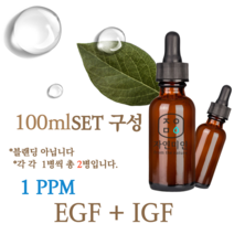 에코문 EGF + IGF 1ppm 2EA세트-100ml 원액 앰플 에센스, 1개, 100ml