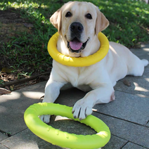 반려동물 애견풀장용 원반던지기 링 스터드 장난감, 중형 및 소형견용 지름 17cm