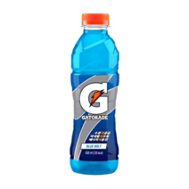 롯데칠성 게토레이 블루, 14개, 600ml