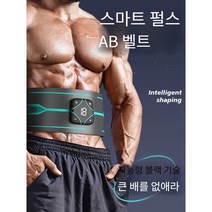 복부 지방 감량 전신 운동 체지방 뱃살, 강력한 버전/EMS 생물학적 펄스/짙은 빨간색