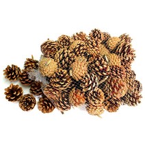 그리기나무 솔방울 만들기나무 500g 천연나무 공예조각 미술재료