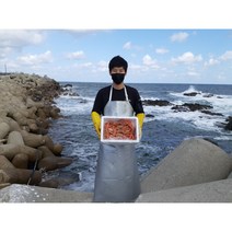 김프로 [산지직송 100%] 품질보장 연지홍게/박달홍게, [산지직송 100%] 자숙 연지홍게 실속형 12마리