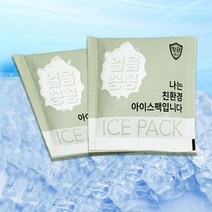 항균 친환경 미니 아이스팩 은나노 얼음팩 얼음주머니 5개