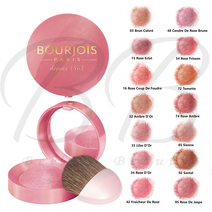 거울과 브러시 BOURJOIS 리틀 라운드 팟 블러셔 모든 색상, 33 황금 라일락
