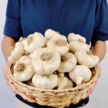 산지직송 농장직송 유황 먹은 홍산마늘, 5kg / 특대, 1개