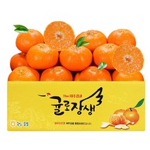 제주시농협 귤로장생 당도선별 레드향 2kg 4kg, 농협 당도선별 레드향 4kg 대과 (가정용)