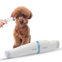 InnoUV 울트라웨이브 이어펫 반려 동물 귀 염증 관리기, EARPET, 혼합색상
