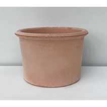 대성식물 이태리토분 시리즈, 심플형 (살구색)