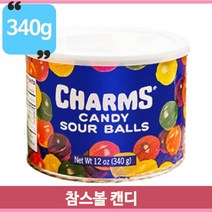 6가지 과일맛 참스 캔디 사탕 볼캔디 340g 탕비실 사무실 차안 수입 간식