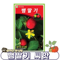 뱀딸기 씨앗 - 1000립 | 딸기씨앗 딸기 산딸기 모종 키우기 쉬운 |DW1