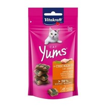 택배 캣얌 치킨캣그라스40g 222689