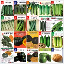 오이 여주 호박 씨앗 모음, A-미니단 10립  호박 씨앗