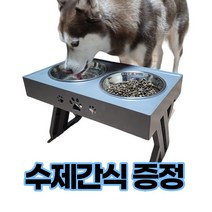 강아지밥그릇골드프레임  추천 TOP 4
