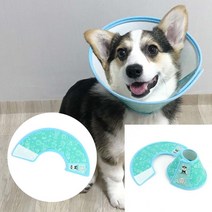애완용 목보호대 프로텍션 커버 컬러디자인 강아지슬개골 강아지무릎보호대 강아지다리보호대 강아지깔대기 강아지척추침대 강아지넥카라 강아지중성화수술후 강아지디스크 강아지휠체어, 5호