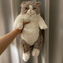 무릎인형★잠자는 쓰야쓰야 고양이