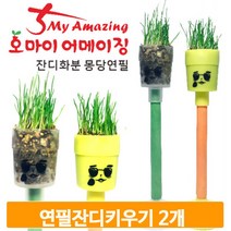 연필 잔디 키우기 2개 식물가꾸기 세트 인테리어 멀티 준비물 유치원 교구