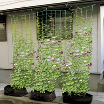 고추그물망 오이망 유인줄 사각넝쿨망 360X180cm 주말농장 집에서 야채키우기용 그물끈, 1개