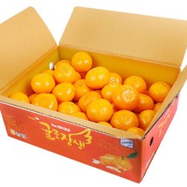 [농협공판장] 귤로장생 프리미엄 노지감귤 5kg(M-2S/47-94과내), 단품