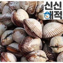 벌교꼬막 - 피꼬막500gX2(1kg) 자숙꼬막 진공포장 전남벌교, 단품, 500g