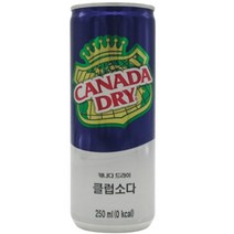 캐나다 드라이 클럽소다 250ml 2개