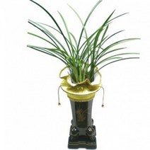 철골소심 동양란 동양난 서양란 서양난 승진, 20000원