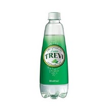 롯데칠성음료 트레비 라임 펫, 500ml, 4개