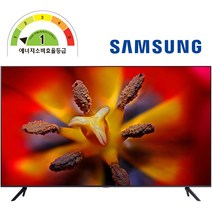 삼성전자 4K UHD TV 스마트 LED 사이니지 1등급 삼성전자기사 직접배송설치 대리점정품, 138.7cm(55인치), 스탠드형, 방문설치(무료)