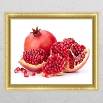 아트박스/꾸밈 gb337-풍수싱그러운석류01_창문그림액자, 단품