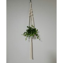 (화분증정이벤트)마크라메 플랜트행거 식물 국내제작걸이 인테리어소품 국내제작