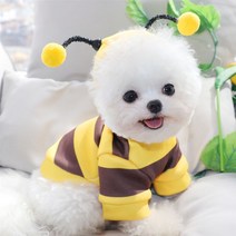 강아지 꿀벌옷 귀여운 가을 겨울 옷 고양이 반려동물 사진 촬영 산책, 꿀벌