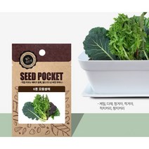 월드가드닝 행복한 텃밭 좋은 씨앗, 6종모듬쌈채씨 2000개