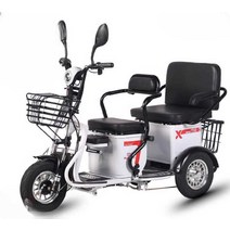 삼륜전기자전거 동반 3륜 배달 여성 애견, 상세 페이지 참고, 블랙골드48V22A배터리(수명90마일)