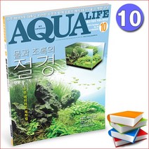 [일급수] 아쿠아라이프[물과초록의 절경]수족관 서적 책 잡지 15년10월호/수초 레이아웃/돌 유목 소일