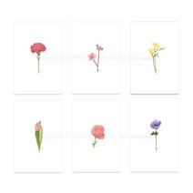 (주문제작) 나의 시그니처 미니엽서, 55매, 카네이션