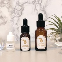 앤셜리 프리미엄25 석고방향제 리필오일 10ml(스포이드형), 레드프롯