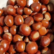 22년햇밤 출시 (공주) 밤 / (특)사이즈 / (대)사이즈 2.1kg ~ 4.2kg, 특(사이즈)