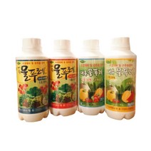 농사친구 수경 재배 영양제 양액 비료 대유 물푸레 A액 B액/식물 트리안 몬스테라 관주, 2호 과채용 B액