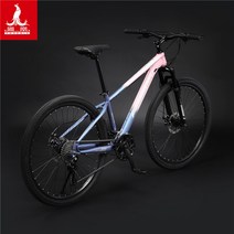 오프로드 자전거 자이언트 팻바이크 입문용 티타늄 스피드바이클 Bike 산악 수입자전거, 24 단, 26인치, 04.스틸 프레임-핑크 블루