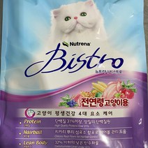 뉴트리나 비스트로 고양이 사료 6kg 300gx20봉 뉴트리나 비스트로, 쿠팡1 아이스초코 본상품선택