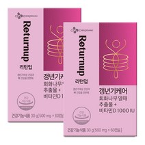 CJ 리턴업 갱년기케어 회화나무열매추출물+비타민D 1000IU + 쇼핑백 증정, 60캡슐X2박스