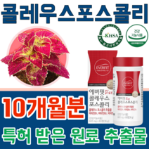 식약처 인증 기능성 인정 특허 받은 식물성 원료 콜레우스 포스콜리 추출물 체지방 체중 제중 감소 도움 클레우스 포스컬리 500mg 체지방 제지방 량 증가 무 첨가 물 없는 추천, 10